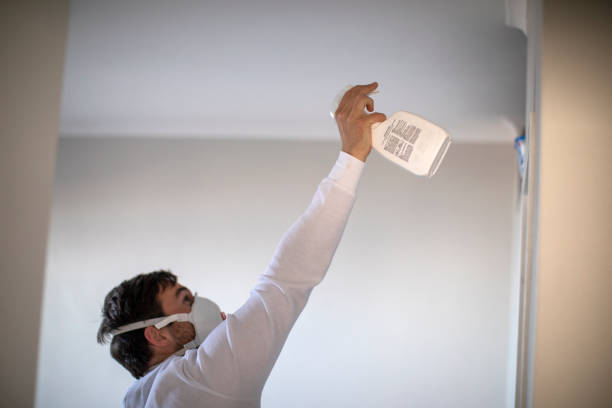 Best Post-Remediation Services in Riddle, OR